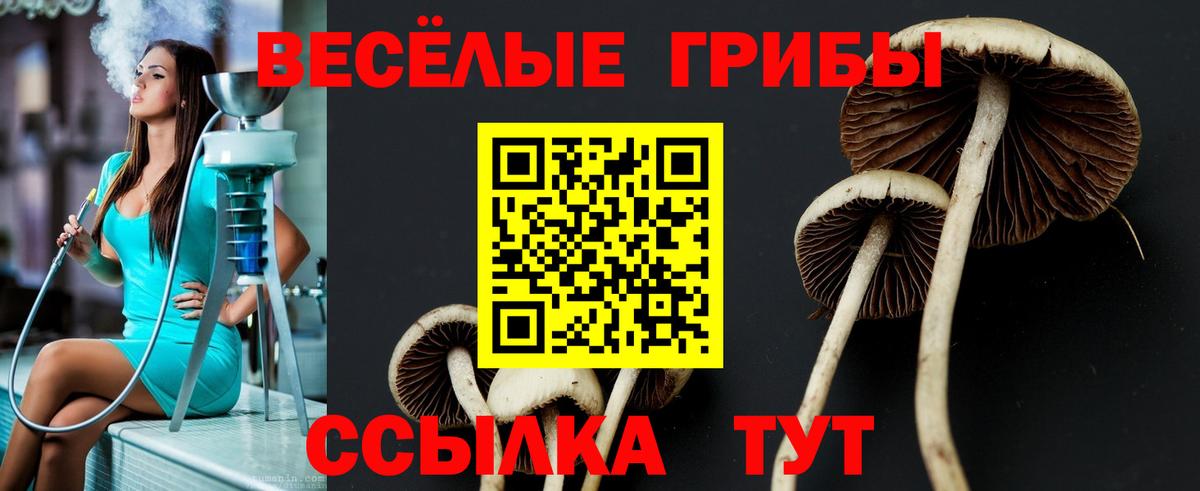 наркотики  Вход с VPN  Находка  Псилоцибиновые грибы Cubensis 