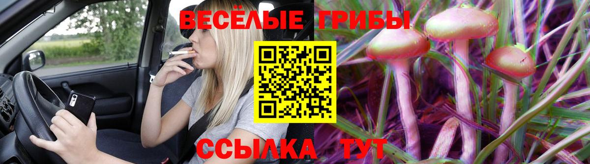 Галлюциногенные грибы прущие грибы Находка